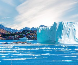 Grönlandhai: Dieses Alter erreichen die Wirbeltiere