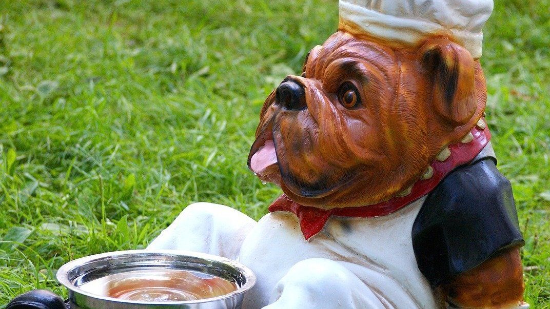 Für Hunde ist Hundefutter wie gemacht, aber für den Menschen? Für Hunde ist Hundefutter wie gemacht, aber für den Menschen?