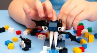 Lego-Alternative: Diese Klemmbausteine sind preiswert und fördern die Kreativität