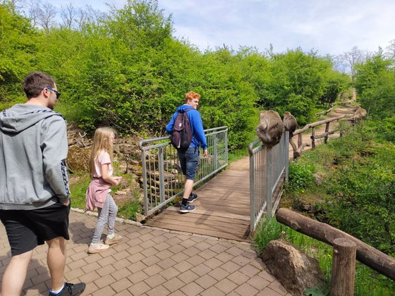 Erfurt mit Kindern Erfurt mit Kindern