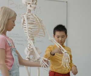 Nachgefragt: Wie viele Knochen hat ein Kind?