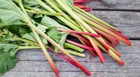 Ist Rhabarber Obst oder Gemüse? Für Kinder erklärt