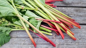 Ist Rhabarber Obst oder Gemüse? Für Kinder erklärt