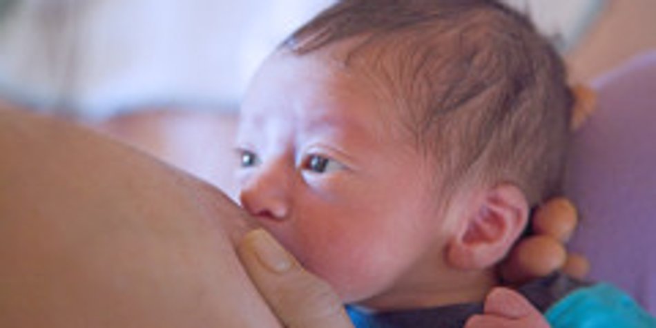 Milcheinschuss – die erste Milch fürs Baby Milcheinschuss – die erste Milch fürs Baby