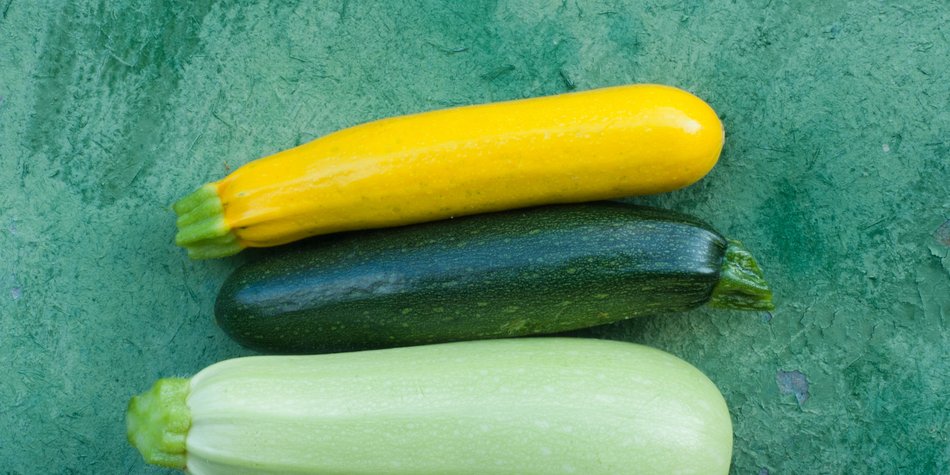 Rezept für Kleinkinder: Marinierte Zucchini Rezept für Kleinkinder: Marinierte Zucchini