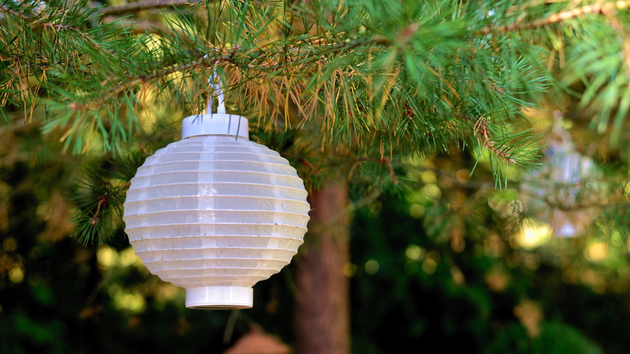 Ihr wollt Lichterglanz im Garten? Dann hat Rossmann eine tolle Solar-Lampion-Lichterkette für euch.