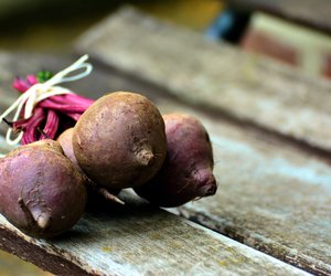 Dürfen Hunde Rote Beete essen und wie viel ist erlaubt?