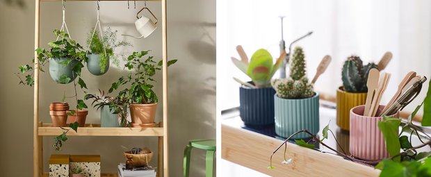 Limited Edition: Diese 11 IKEA-Produkte brauchen alle Pflanzenfans