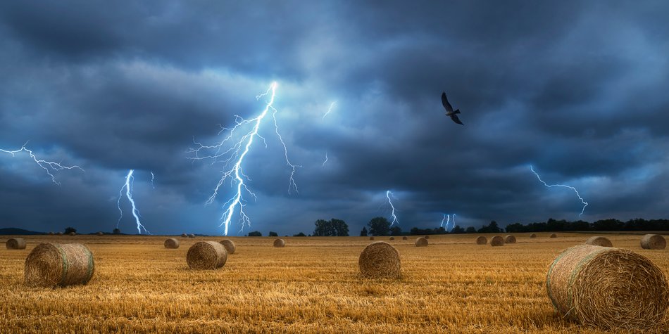 Wie entsteht ein Gewitter? Wenn es blitzt und donnert Wie entsteht ein Gewitter? Wenn es blitzt und donnert