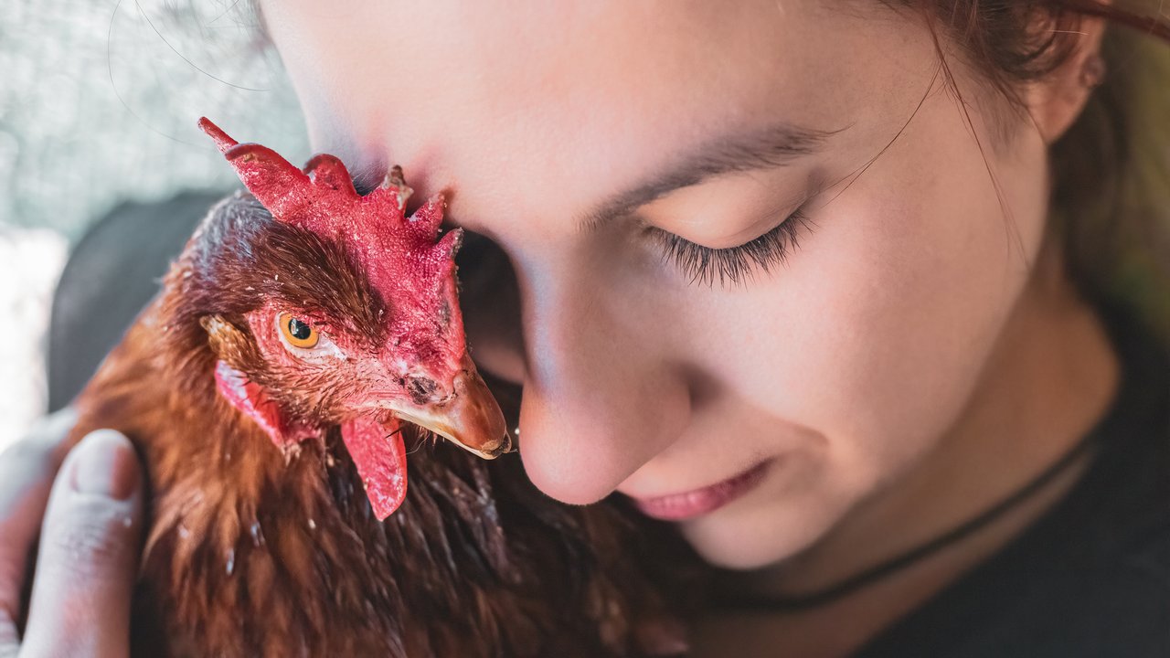 Vegan lebende Frau kuschelt mit einem Huhn