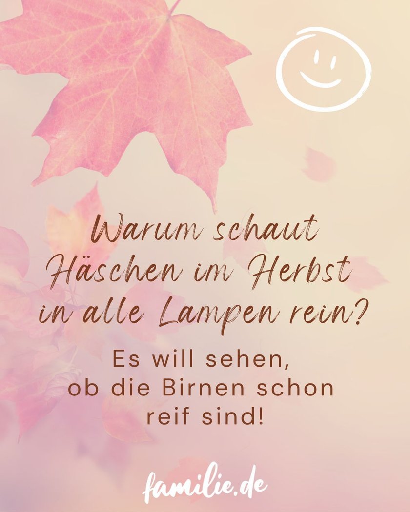 Herbstwitze auf Blätterhintergrund mit Smiley Herbstwitze auf Blätterhintergrund mit Smiley