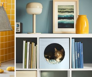 IKEAs erste Haustier-Kollektion: Die 11 coolsten Produkte für Hunde & Katzen