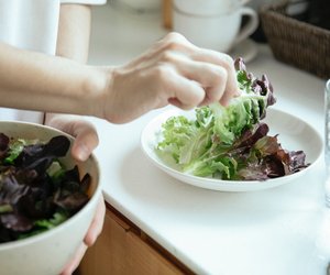 Salat lagern: Mit diesen Tipps bleibt er knackig und frisch