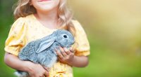 Für Langohren: Diese fünf Spielzeuge und Gadgets sind ein Muss für Kaninchen