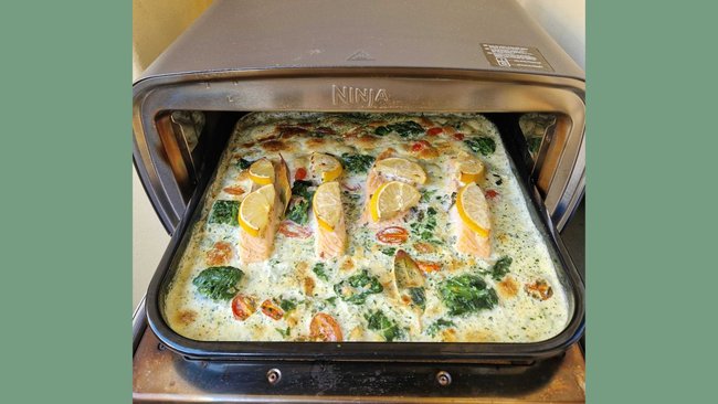 Test Ninja Artisan Outdoor-Elektro-Pizzaofen