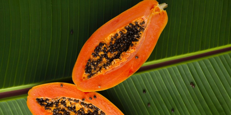 Papaya essen: So isst du die exotische Frucht Papaya essen: So isst du die exotische Frucht