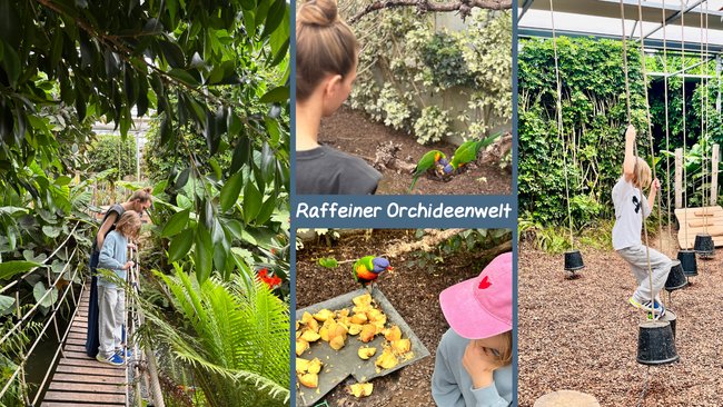 Lana, Südtirol, Orchideenwelt Lana, Südtirol, Orchideenwelt