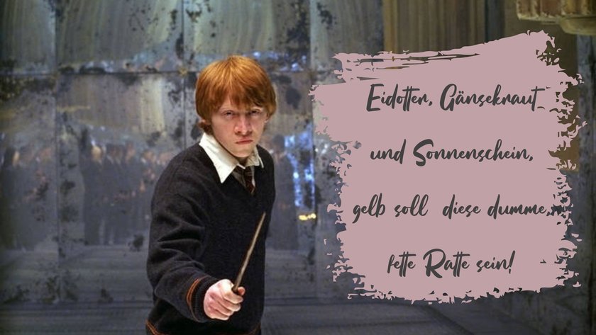 Harry Potter/Gelbe Ratte Zauber Ron