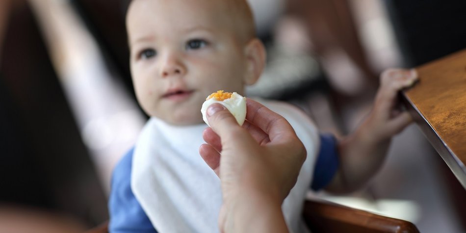 Kinder-Ernährung: Wie viele Eier Babys und Kinder essen dürfen Kinder-Ernährung: Wie viele Eier Babys und Kinder essen dürfen
