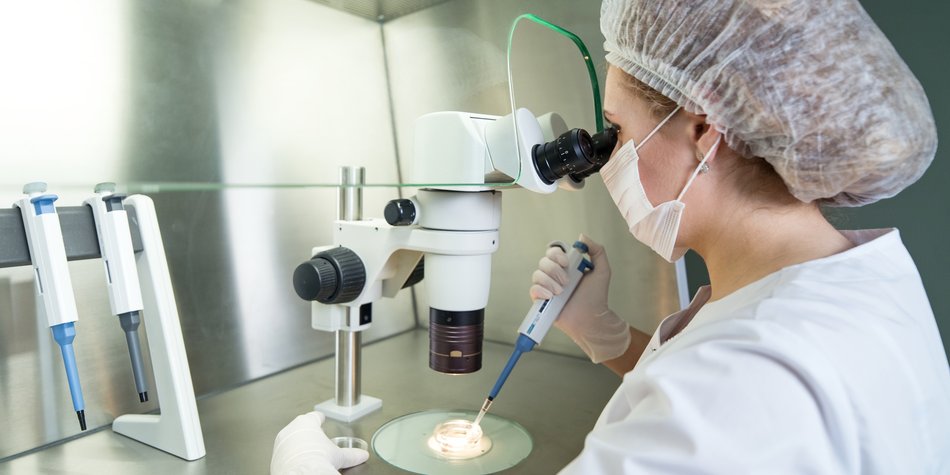 Überraschend: So wirkt sich das Corona-Virus auf Eizellen aus Überraschend: So wirkt sich das Corona-Virus auf Eizellen aus