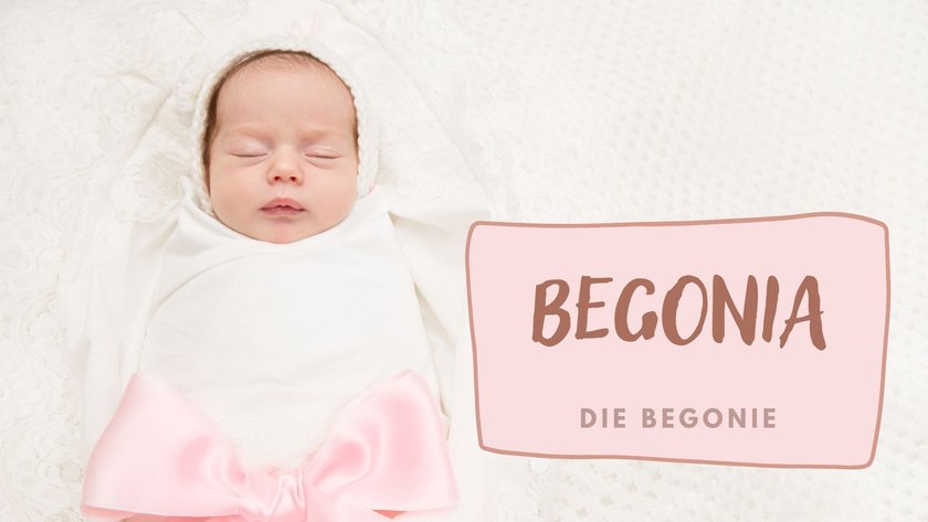 #12 Mädchennamen mit B: Begonia