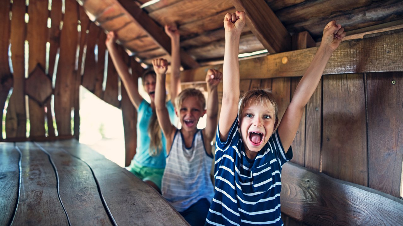 Three kids cheering inside of a tree house. Kids are aged 8 and 11.