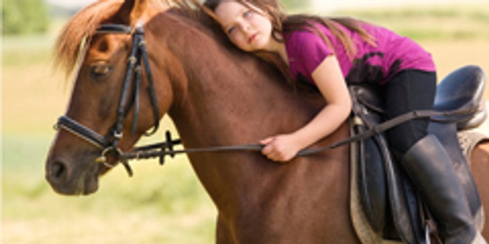 Die Liebe zum Pferd Die Liebe zum Pferd