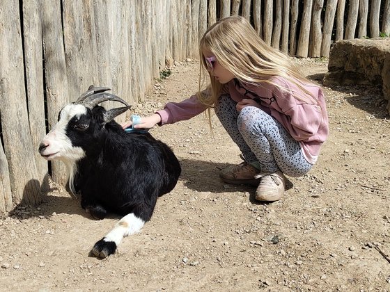 Erfurt mit Kindern Erfurt mit Kindern