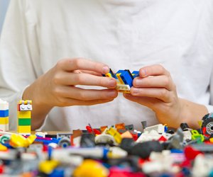 BlueBrixx gibt 20 Prozent auf verärgerten Hundehalter