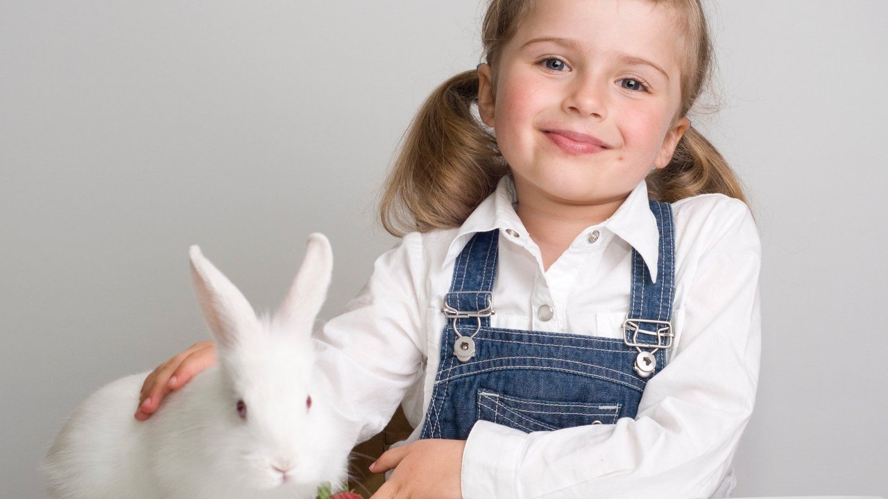 Erdbeeren sind für Kinder gesund, aber auch für Kaninchen?