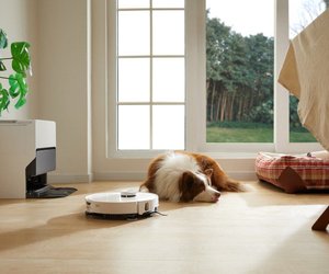 So sorgt ihr trotz Haustieren für ein hygienisches Zuhause