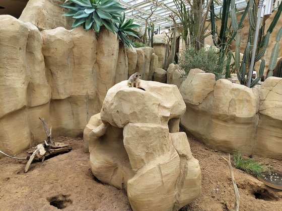 Erfurt mit Kindern Erfurt mit Kindern