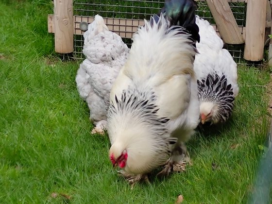 Erfurt mit Kindern Erfurt mit Kindern