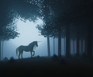 Was ist ein Einhorn und wo lebt das sagenumwobene Tier?