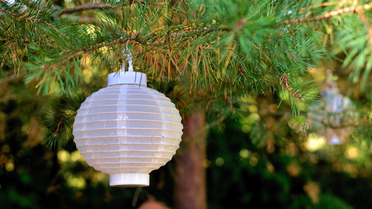 Ihr wollt Lichterglanz im Garten? Dann hat Rossmann eine tolle Solar-Lampion-Lichterkette für euch. Ihr wollt Lichterglanz im Garten? Dann hat Rossmann eine tolle Solar-Lampion-Lichterkette für euch.