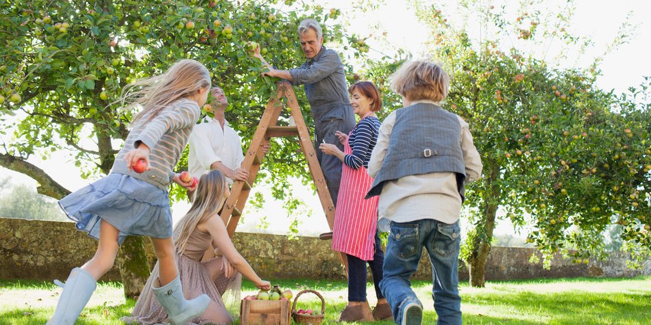 Gartenarbeit im September: So startet ihr als Familie in den Frühherbst Gartenarbeit im September: So startet ihr als Familie in den Frühherbst