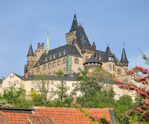 Zeitreise gefällig? Im Harz findest du ein Schloss wie aus einem Märchen