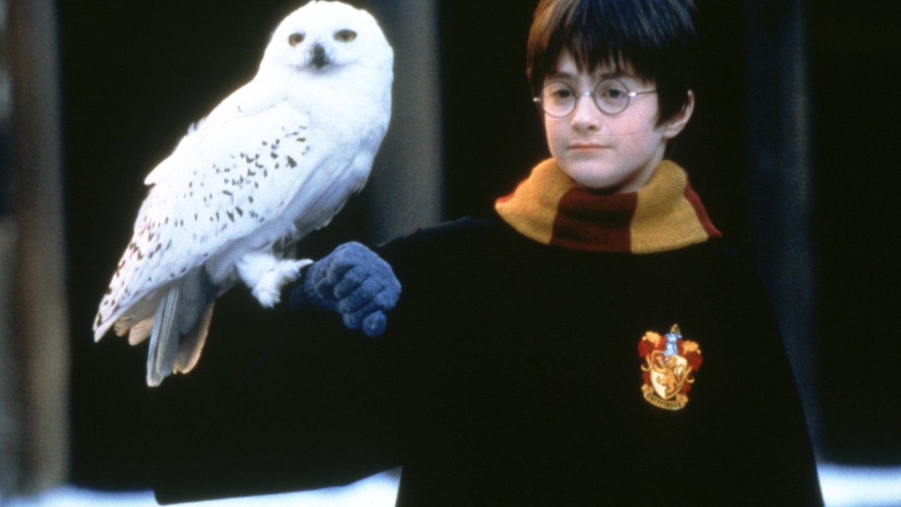 Harry Potter und der Stein der Weisen DANIEL RADCLIFFE mit Eule