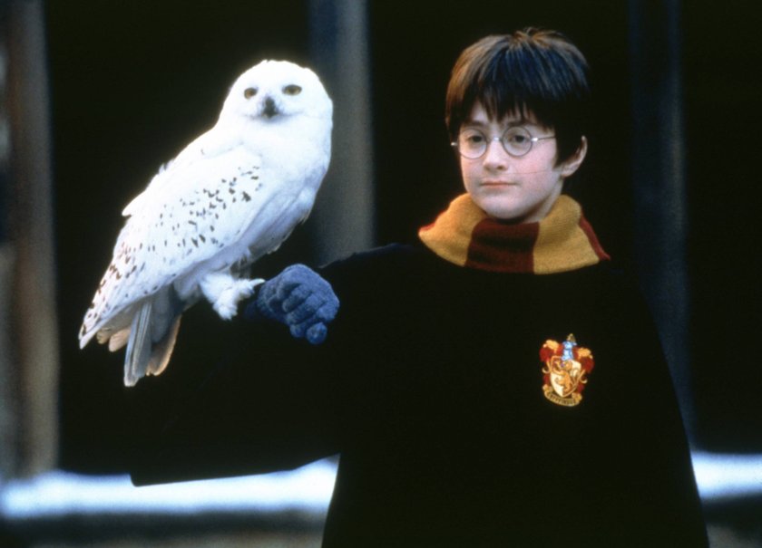 Harry Potter und der Stein der Weisen DANIEL RADCLIFFE mit Eule
