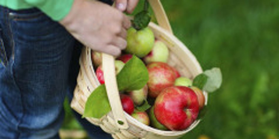 Gartenarbeit im September - Tipps für Kinder & Eltern Gartenarbeit im September - Tipps für Kinder & Eltern