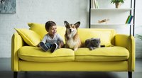Kinderfreundliche Hunde: Diese Vierbeiner passen in euren Familienalltag