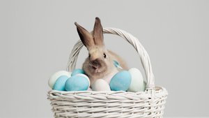 Osterbräuche für Kinder erklärt: Mama, warum kommt der Osterhase?