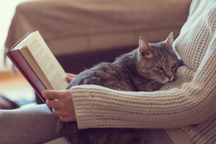 Frau liest ein Buch und ihre Katze sitzt auf ihrem Schoß Frau liest ein Buch und ihre Katze sitzt auf ihrem Schoß