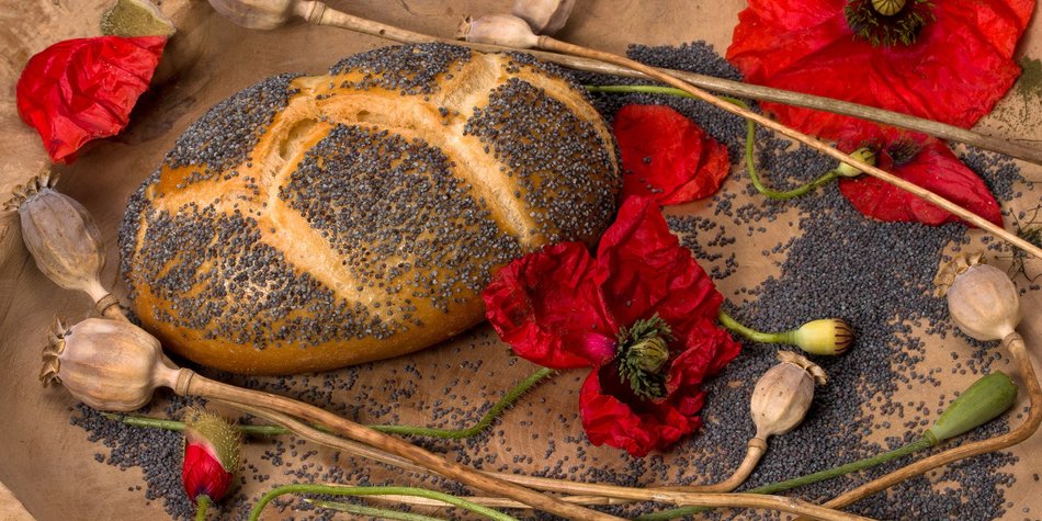 Mohn und Stillen: Passt das zusammen oder birgt es Gefahren? Mohn und Stillen: Passt das zusammen oder birgt es Gefahren?