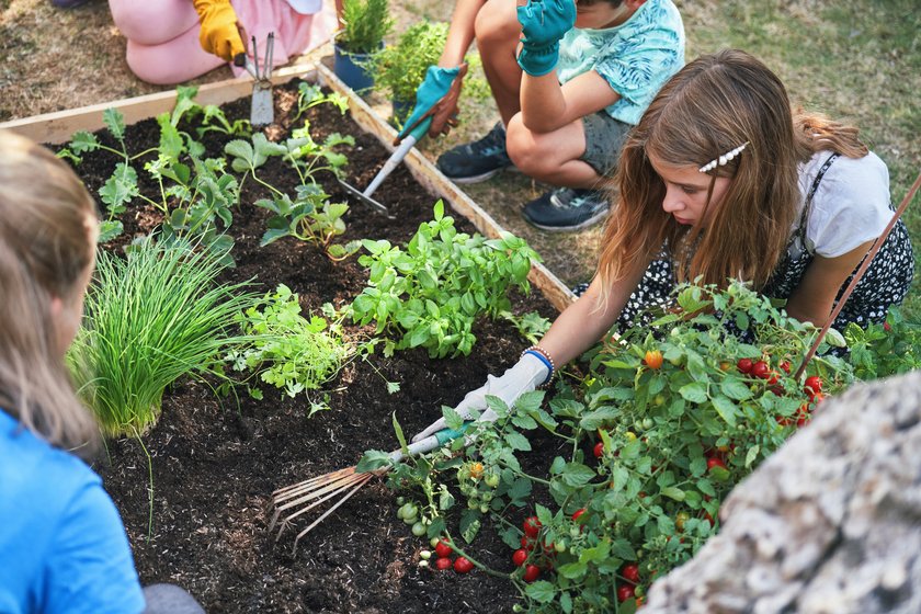 Teure Setzlinge sind dir Bohne: Das sagt's über dich