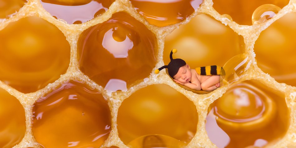 Honig für Babys: Warum ich meinem Baby auf keinen Fall Honig geben sollte Honig für Babys: Warum ich meinem Baby auf keinen Fall Honig geben sollte