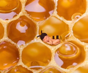 Ärzte warnen: Darum ist Honig für Babys ein No-Go