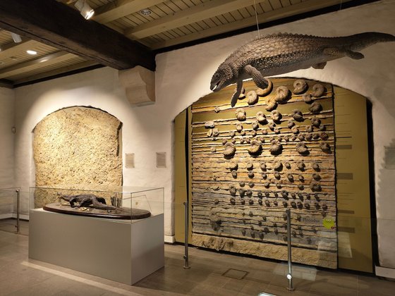 Erfurt mit Kindern Erfurt mit Kindern