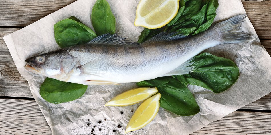 Seehecht & Schwangerschaft: Ist dieser Fisch empfehlenswert? Seehecht & Schwangerschaft: Ist dieser Fisch empfehlenswert?