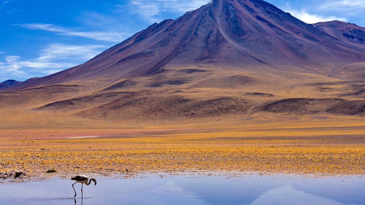 Der Vulkan Licancabur in Chile.